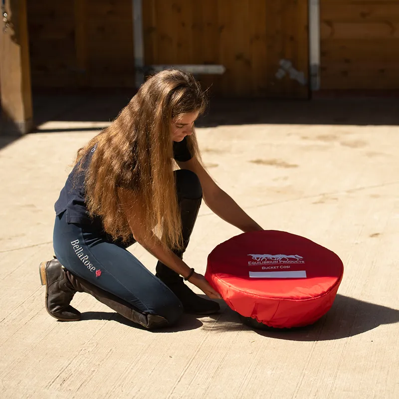 D Equilibrium Bucket Cosi-5